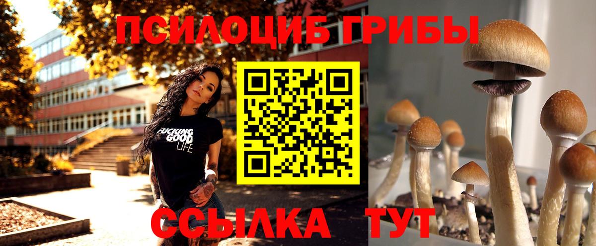 Галлюциногенные грибы GOLDEN TEACHER Владикавказ